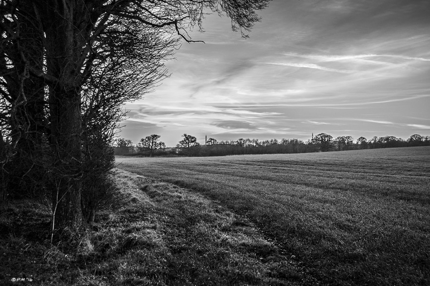 Trees and track at edge of field with sunset in background.Mortimer, Berkshire UK. Monochrome Landscape. © P. Maton 2014 eyeteeth.net